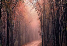 开云体育：英超-萨卡破门恩瓦内里处子球 阿森纳3-0森林.