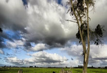 90分钟战报-葡萄牙3-2总比分3-3丹麦 C罗失点+破门B费造乌龙.