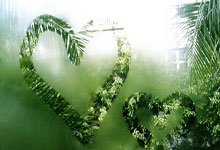 国家体育总局，设立新机构人民网.