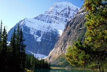 开云体育：华盛顿22+8浓眉21+12 独行侠主场大胜.